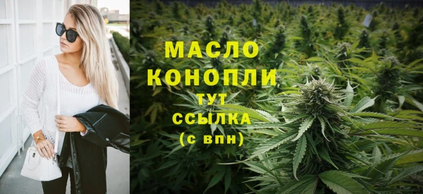 тгк Абаза