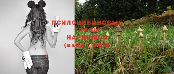 ECSTASY Абинск