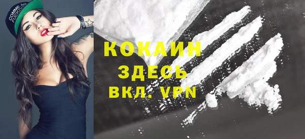 тгк Абаза
