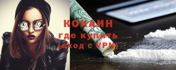 тгк Абаза